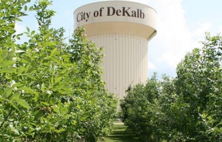 Dekalb